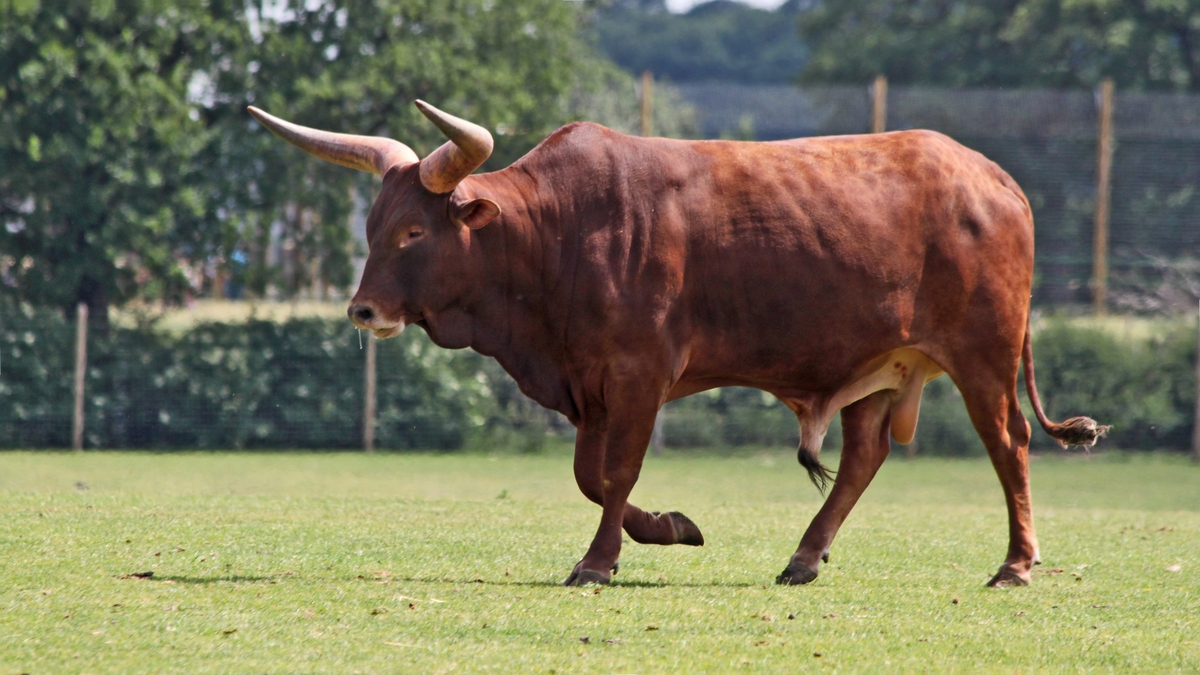 2nd. - Derek Kendall